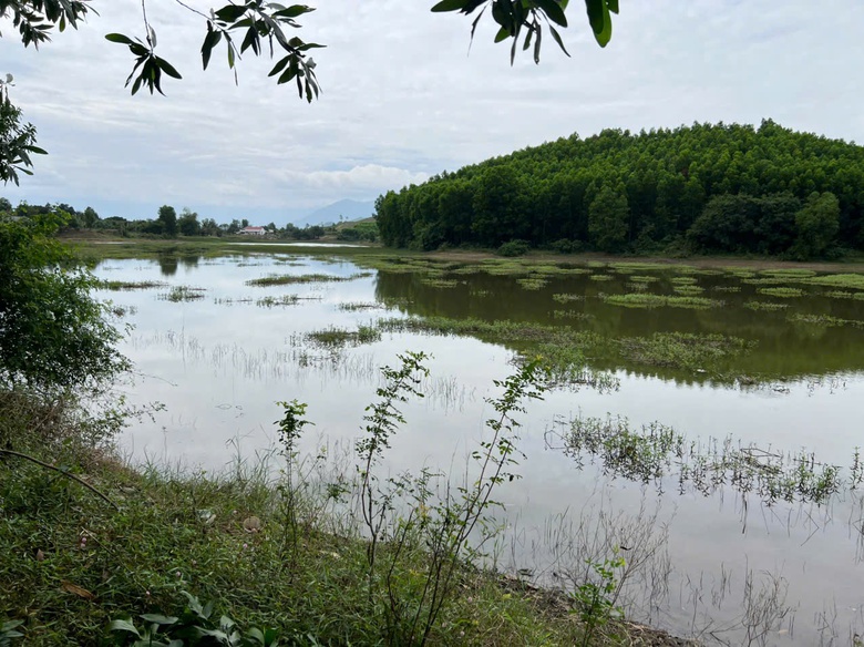 Ba phụ nữ đi bắt ốc sa xuống chỗ nước sâu, một người tử vong- Ảnh 1. Ba phụ nữ đi bắt ốc sa xuống chỗ nước sâu, một người tử vong- Ảnh 1.