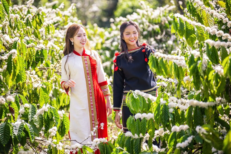 Đắk Lắk mời du kh&aacute;ch uống c&agrave; ph&ecirc; miễn ph&iacute; trong 5 ng&agrave;y- Ảnh 3.