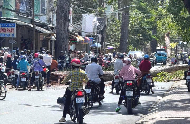 C&acirc;y đổ, gi&oacute; cuốn văng biển quảng c&aacute;o giữa đường phố Tr&agrave; Vinh khiến người d&acirc;n bị thương- Ảnh 1.