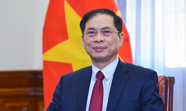 Ph&acirc;n c&ocirc;ng c&ocirc;ng t&aacute;c của Thủ tướng v&agrave; c&aacute;c Ph&oacute; thủ tướng- Ảnh 6.