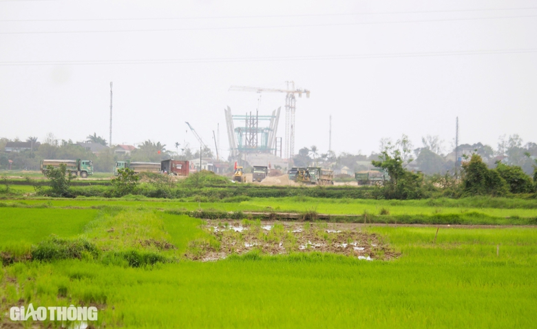 Chuyển mục đ&iacute;ch sử dụng 37ha rừng ph&ograve;ng hộ để l&agrave;m đường ven biển Quảng Trị- Ảnh 3.