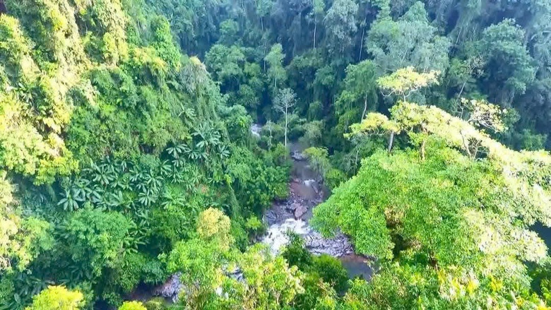 Lễ cúng rừng của người Mông Nà Hẩu được chứng nhận Di sản văn hóa phi vật thể Quốc gia- Ảnh 8. Lễ cúng rừng của người Mông Nà Hẩu được chứng nhận Di sản văn hóa phi vật thể Quốc gia- Ảnh 8.