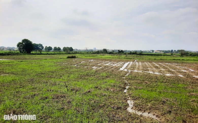 Di dời bến xe Đông Hà để xây dựng đường ven biển Quảng Trị- Ảnh 3. Di dời bến xe Đông Hà để xây dựng đường ven biển Quảng Trị- Ảnh 3.