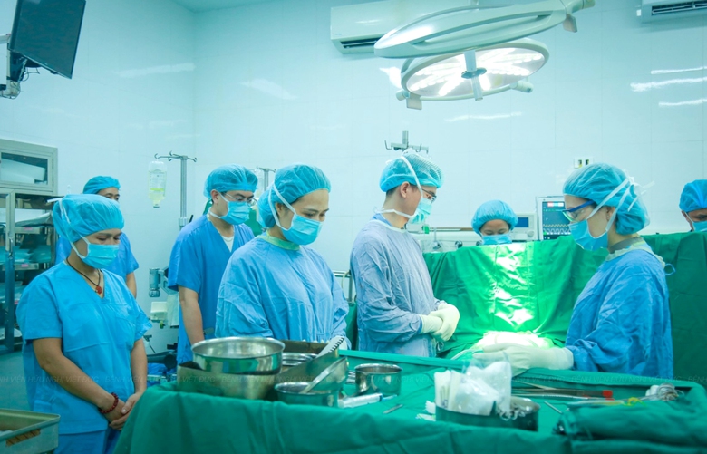 Sự sống hồi sinh trong những ngày xuân mới- Ảnh 2. Sự sống hồi sinh trong những ngày xuân mới- Ảnh 2.