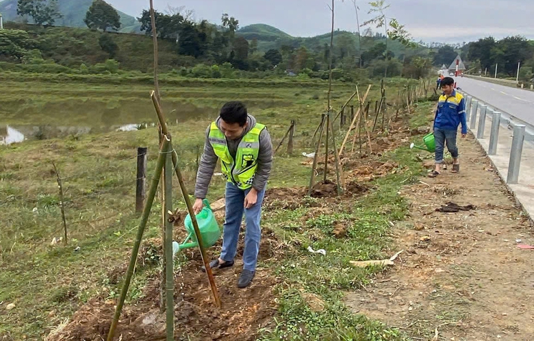 Trồng nhiều cây xanh trên các tuyến quốc lộ qua các tỉnh Bắc Trung Bộ- Ảnh 3. Trồng nhiều cây xanh trên các tuyến quốc lộ qua các tỉnh Bắc Trung Bộ- Ảnh 3.