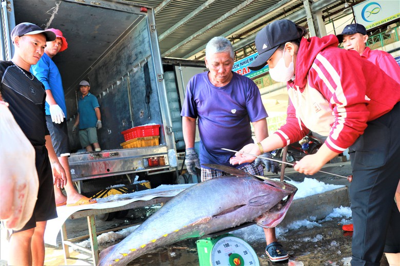 Đầu năm đ&oacute;n lộc biển, ngư d&acirc;n Kh&aacute;nh H&ograve;a vươn khơi gỡ thẻ v&agrave;ng IUU- Ảnh 4.