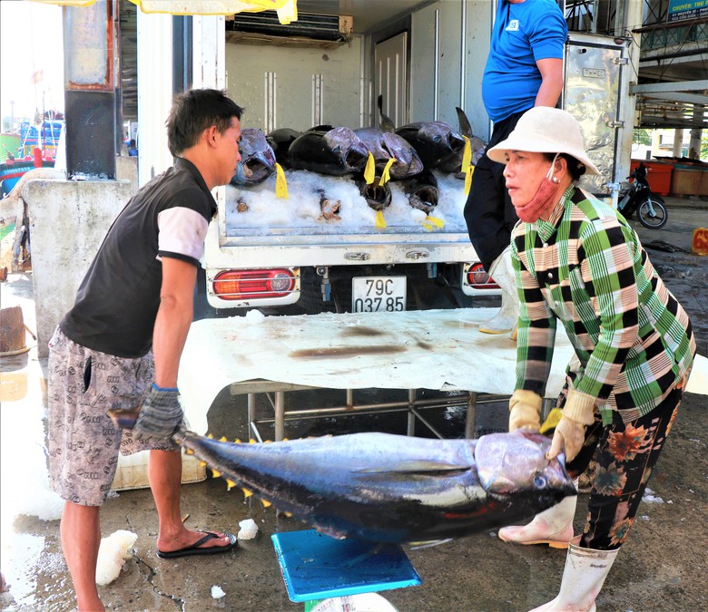 Đầu năm đ&oacute;n lộc biển, ngư d&acirc;n Kh&aacute;nh H&ograve;a vươn khơi gỡ thẻ v&agrave;ng IUU- Ảnh 6.