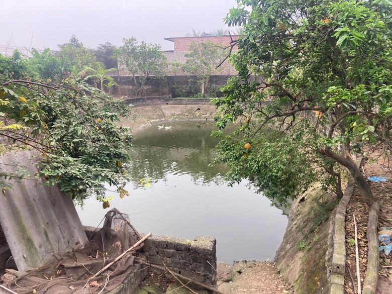 Bắc Giang: Hai ch&aacute;u nhỏ chết đuối thương t&acirc;m dưới ao c&aacute; của nh&agrave;- Ảnh 1.