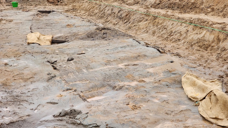 Khai quật 2 thuyền độc mộc cổ ở Bắc Ninh- Ảnh 11.