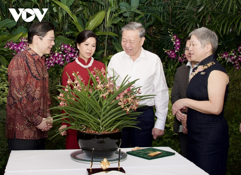Singapore định danh lo&agrave;i hoa lan mới theo t&ecirc;n Tổng B&iacute; thư T&ocirc; L&acirc;m v&agrave; phu nh&acirc;n- Ảnh 1.