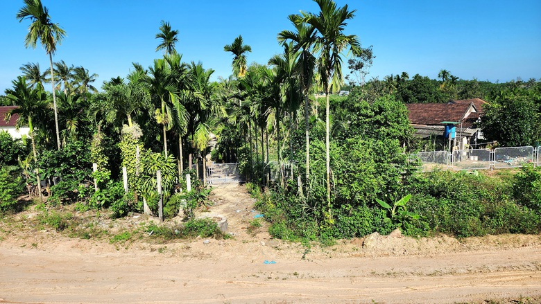 Tăng cường thi c&ocirc;ng r&agrave;o chắn dọc cao tốc Quảng Ng&atilde;i - Ho&agrave;i Nhơn- Ảnh 6.