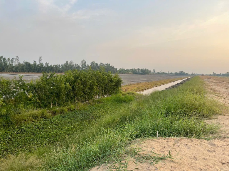 Khi nào hoàn tất giải phóng mặt bằng trạm dừng nghỉ cao tốc ở Hậu Giang?- Ảnh 1. Khi nào hoàn tất giải phóng mặt bằng trạm dừng nghỉ cao tốc ở Hậu Giang?- Ảnh 1.