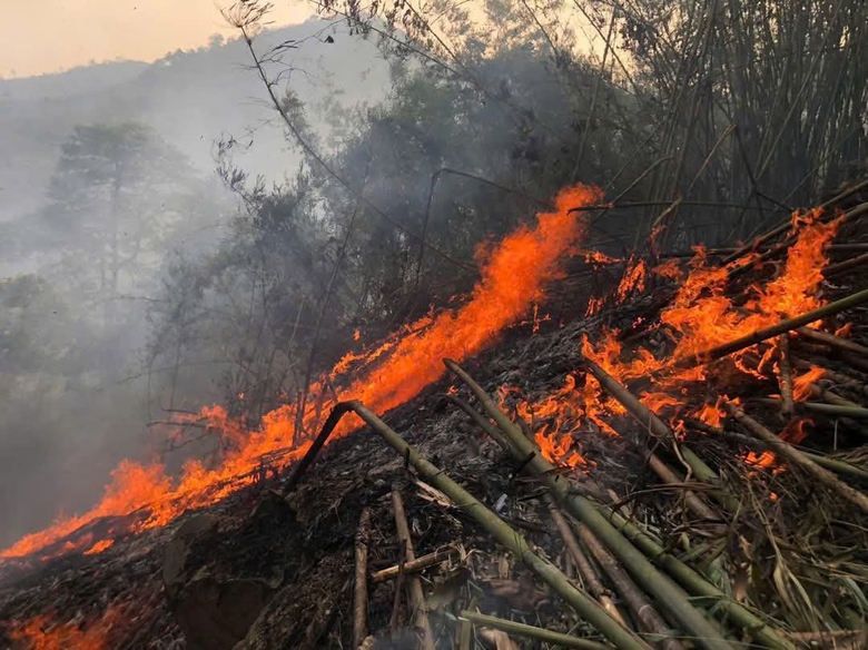 Tuy&ecirc;n Quang: Ch&aacute;y rừng tại n&uacute;i Nghi&ecirc;m, hơn 500 người dập lửa- Ảnh 1.