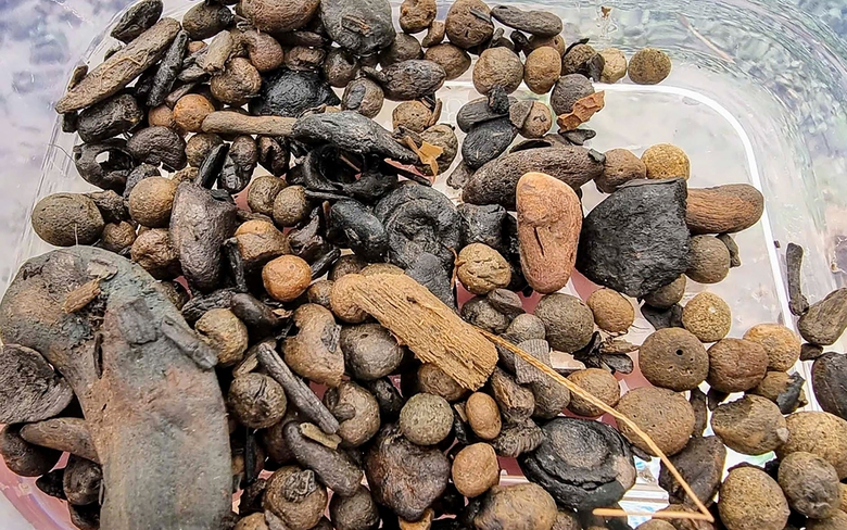 Nhiều hiện vật độc đáo trong 2 chiếc thuyền cổ ở Bắc Ninh vừa khai quật- Ảnh 9. Nhiều hiện vật độc đáo trong 2 chiếc thuyền cổ ở Bắc Ninh vừa khai quật- Ảnh 9.