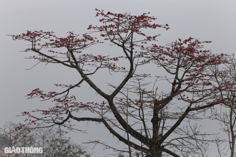 To&agrave;n cảnh tuyến đường 2.300 tỷ đồng đẹp nhất Bắc Kạn sau 4 năm thi c&ocirc;ng- Ảnh 13.