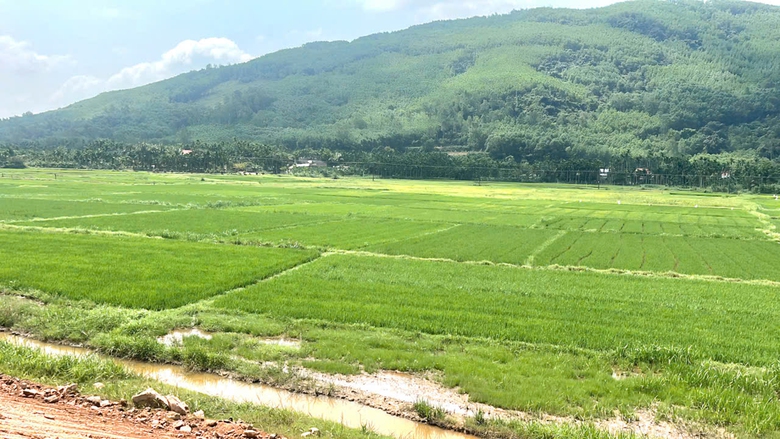 Chậm x&acirc;y trạm dừng nghỉ, kh&oacute; thu ph&iacute; cao tốc- Ảnh 3.