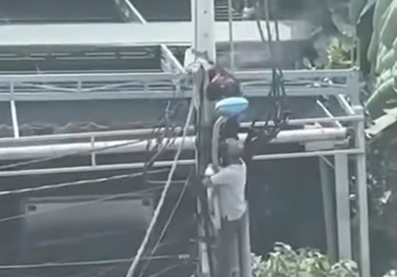 Trụ điện ph&aacute;t nổ, người đ&agrave;n &ocirc;ng bị bỏng nặng- Ảnh 1.