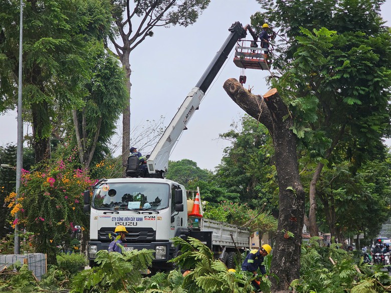 TP.HCM: Thi c&ocirc;ng vỉa h&egrave;, loạt c&acirc;y xanh trước c&ocirc;ng vi&ecirc;n Tao Đ&agrave;n bị đốn hạ- Ảnh 1.