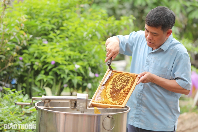 Cận cảnh mùa mật ngọt dưới tán vải thiều ở Bắc Giang- Ảnh 7. Cận cảnh mùa mật ngọt dưới tán vải thiều ở Bắc Giang- Ảnh 7.