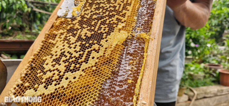 Cận cảnh mùa mật ngọt dưới tán vải thiều ở Bắc Giang- Ảnh 12. Cận cảnh mùa mật ngọt dưới tán vải thiều ở Bắc Giang- Ảnh 12.