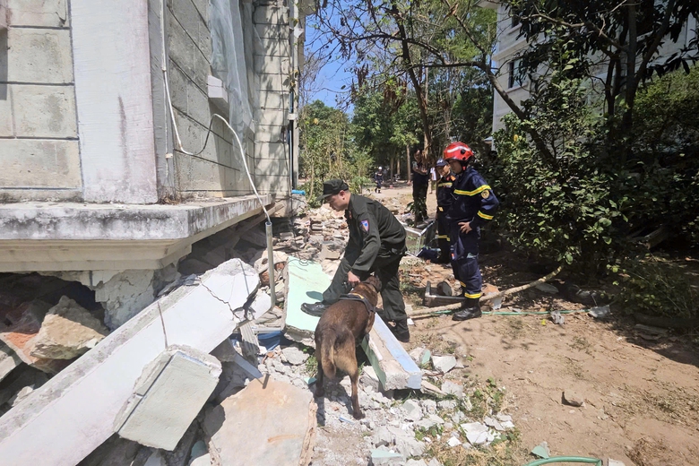 Cứu hộ Việt Nam sử dụng radar qu&eacute;t xuy&ecirc;n tường t&igrave;m nạn nh&acirc;n động đất ở Myanmar- Ảnh 3.