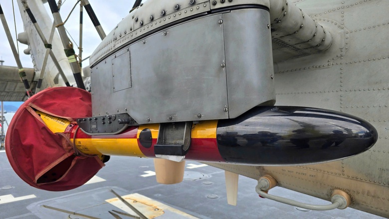 T&agrave;u huấn luyện Nhật Bản cập cảng Ti&ecirc;n Sa, bắt đầu chuyến thăm Đ&agrave; Nẵng- Ảnh 6.