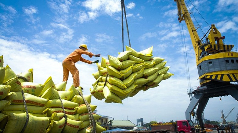 Gi&aacute; l&uacute;a gạo lao dốc, Thủ tướng chỉ đạo lập đo&agrave;n kiểm tra li&ecirc;n ng&agrave;nh- Ảnh 1.
