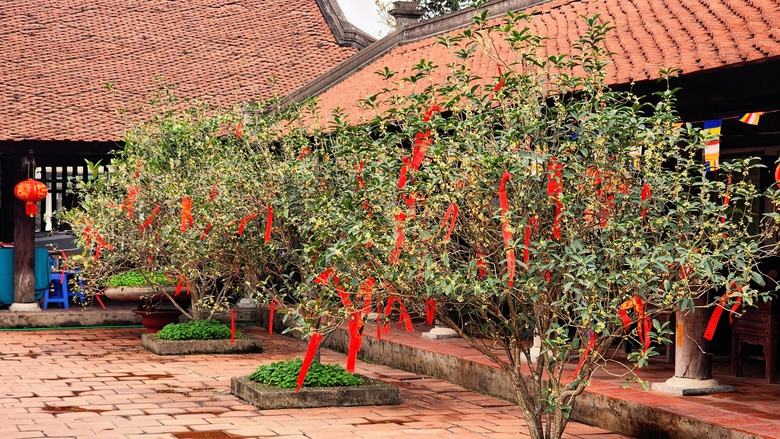 Kh&aacute;m ph&aacute; ng&ocirc;i ch&ugrave;a cổ nhất Việt Nam xuất hiện trong MV "Bắc Bling" của H&ograve;a Minzy- Ảnh 17.