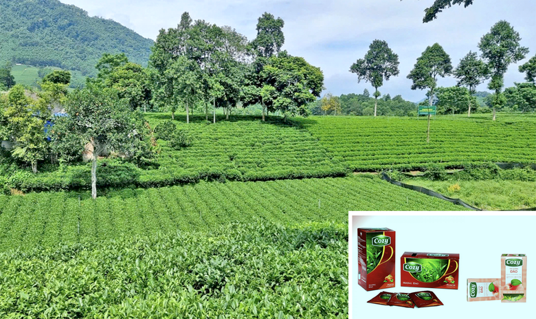 &ldquo;Lội ngược d&ograve;ng&rdquo; đưa hương tr&agrave; Việt bay xa- Ảnh 1.