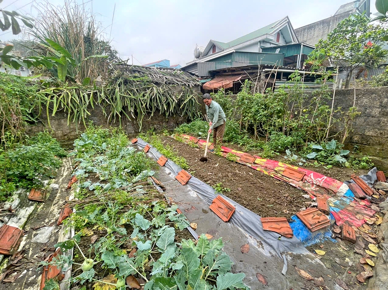 Thương binh gi&agrave; g&aacute;nh gồng nu&ocirc;i hai ch&aacute;u mồ c&ocirc;i- Ảnh 2.