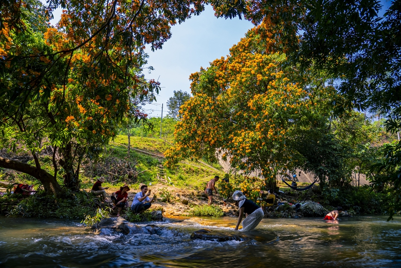 Hoa trang rừng rực rỡ, l&agrave;m xi&ecirc;u l&ograve;ng người tại l&agrave;ng miền n&uacute;i B&igrave;nh Định- Ảnh 9.