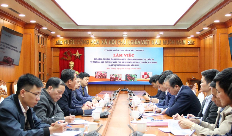 Hoa vải nở trắng đồi, doanh nghiệp tìm đến Bắc Giang ký hợp đồng tiêu thụ- Ảnh 5. Hoa vải nở trắng đồi, doanh nghiệp tìm đến Bắc Giang ký hợp đồng tiêu thụ- Ảnh 5.