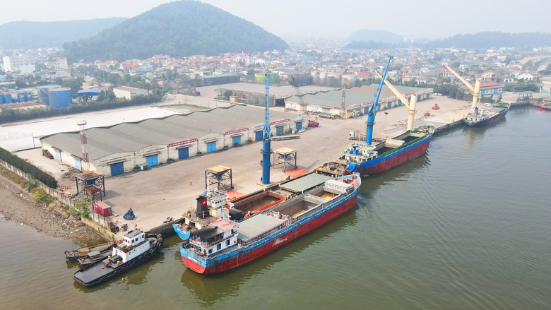 Chi trăm tỷ l&agrave;m "cảng xanh", cảng Cửa L&ograve; gắn ph&aacute;t triển bền vững với bảo vệ m&ocirc;i trường- Ảnh 1.