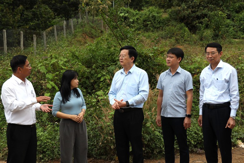 Ph&oacute; thủ tướng Mai Văn Ch&iacute;nh kiểm tra c&ocirc;ng tr&igrave;nh giao th&ocirc;ng ở Kh&aacute;nh H&ograve;a- Ảnh 1.