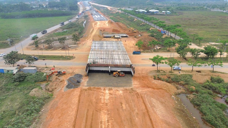 Cận cảnh những c&acirc;y cầu 