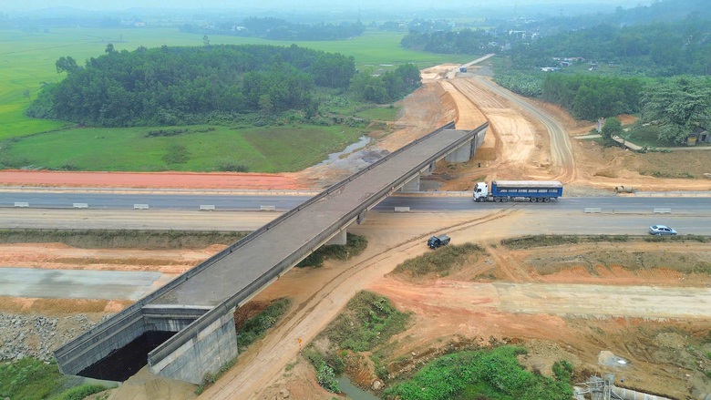 Cận cảnh những c&acirc;y cầu 