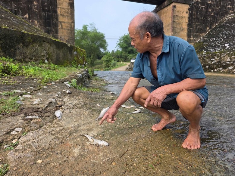 Lấy mẫu nước t&igrave;m nguy&ecirc;n nh&acirc;n c&aacute; chết h&agrave;ng loạt tr&ecirc;n suối &Aacute;c ở H&agrave; Tĩnh- Ảnh 2.