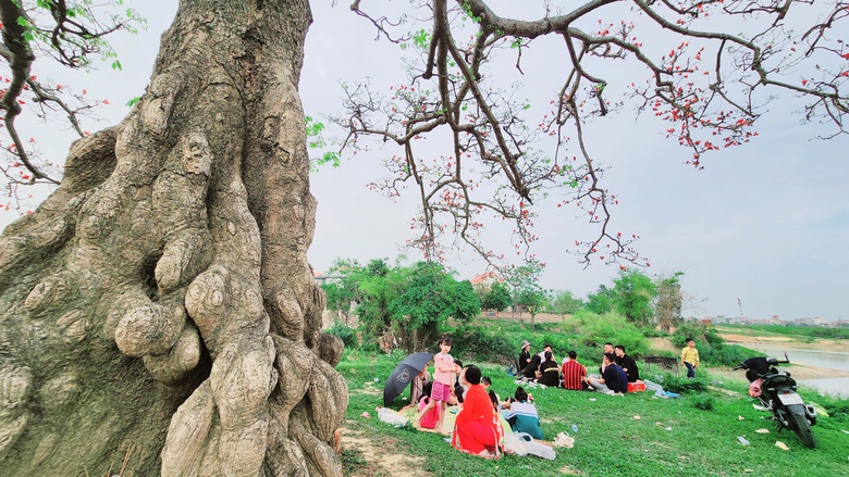 Về nơi &ldquo;một tiếng g&agrave; 3 nơi nghe r&otilde;&rdquo; check-in với c&acirc;y gạo trăm năm- Ảnh 12.