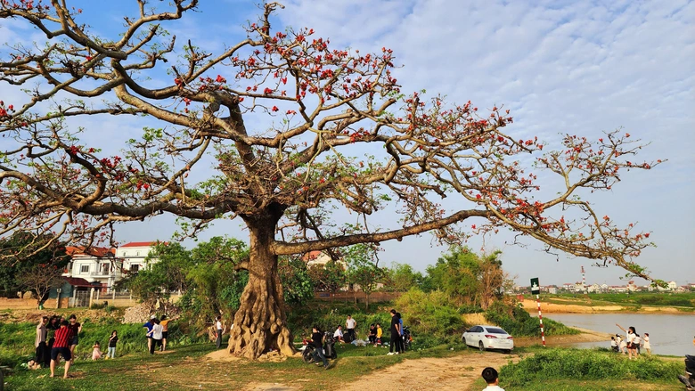 Về nơi &ldquo;một tiếng g&agrave; 3 nơi nghe r&otilde;&rdquo; check-in với c&acirc;y gạo trăm năm- Ảnh 21.