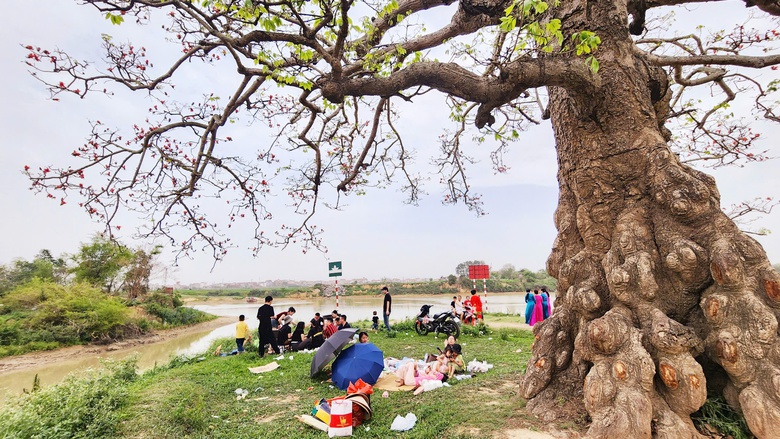 Về nơi &ldquo;một tiếng g&agrave; 3 nơi nghe r&otilde;&rdquo; check-in với c&acirc;y gạo trăm năm- Ảnh 15.