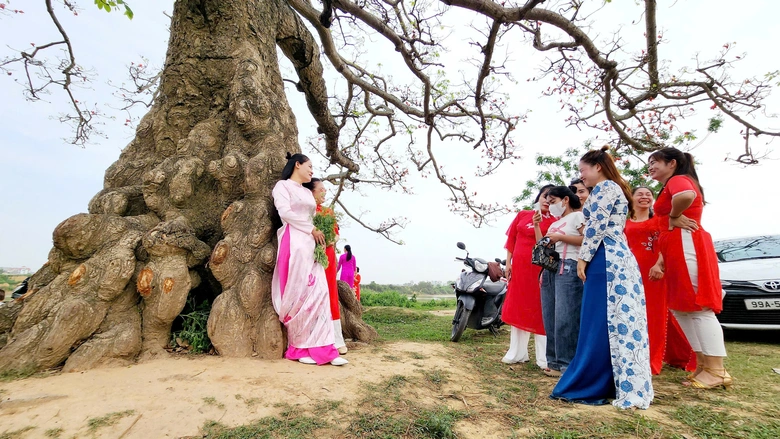 Về nơi &ldquo;một tiếng g&agrave; 3 nơi nghe r&otilde;&rdquo; check-in với c&acirc;y gạo trăm năm- Ảnh 17.