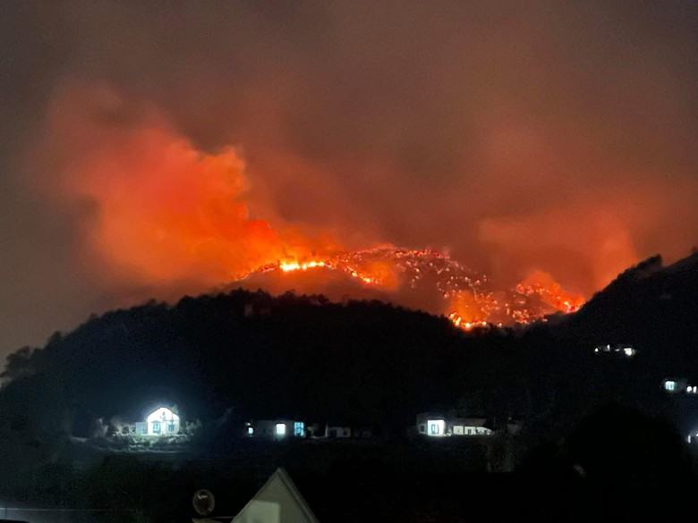 Phó Thủ tướng chỉ đạo tập trung khắc phục hậu quả 2 vụ cháy rừng tại Quảng Ninh- Ảnh 1. Phó Thủ tướng chỉ đạo tập trung khắc phục hậu quả 2 vụ cháy rừng tại Quảng Ninh- Ảnh 1.