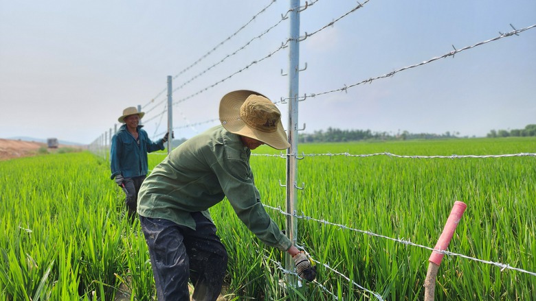 Gấp r&uacute;t ho&agrave;n thiện hạng mục an to&agrave;n giao th&ocirc;ng cao tốc Quảng Ng&atilde;i - Ho&agrave;i Nhơn- Ảnh 9.
