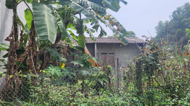 Khu tái định cư di dân vùng thiên tai ở Thái Nguyên 10 năm hoang hóa- Ảnh 2. Khu tái định cư di dân vùng thiên tai ở Thái Nguyên 10 năm hoang hóa- Ảnh 2.