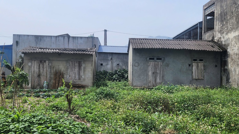 Khu tái định cư di dân vùng thiên tai ở Thái Nguyên 10 năm hoang hóa- Ảnh 5. Khu tái định cư di dân vùng thiên tai ở Thái Nguyên 10 năm hoang hóa- Ảnh 5.