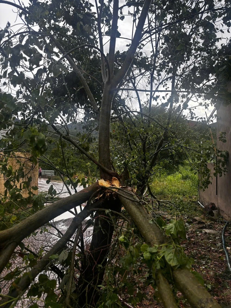 Mưa đ&aacute; k&egrave;m lốc xo&aacute;y khiến nhiều nh&agrave; d&acirc;n tốc m&aacute;i, bể nhiều k&iacute;nh &ocirc; t&ocirc;- Ảnh 2.