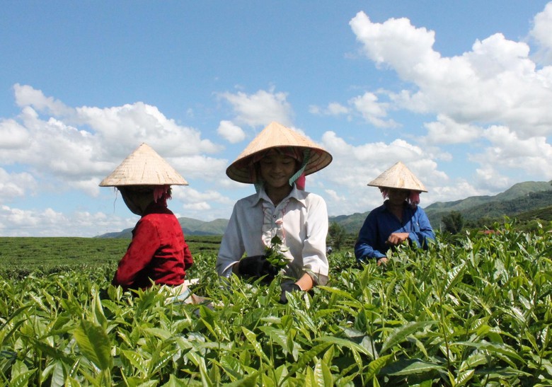 Mở rộng chương tr&igrave;nh t&iacute;n dụng 100.000 tỷ đồng với lĩnh vực n&ocirc;ng, l&acirc;m, thủy sản- Ảnh 1.