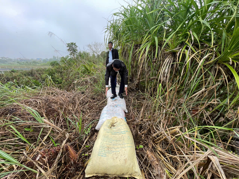 Quảng Ninh: Dự kiến n&acirc;ng cấp tuyến đ&ecirc; x&atilde; Đường Hoa cuối năm 2025- Ảnh 1.