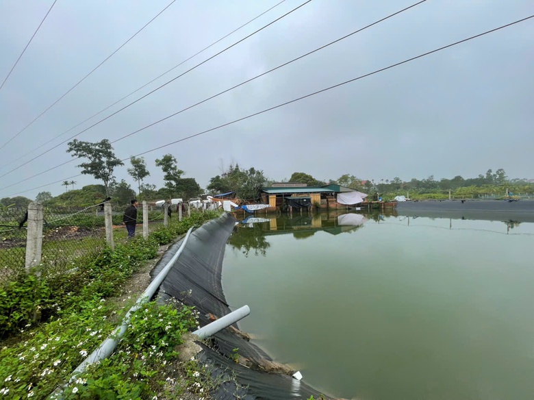 Quảng Ninh: Dự kiến n&acirc;ng cấp tuyến đ&ecirc; x&atilde; Đường Hoa cuối năm 2025- Ảnh 4.