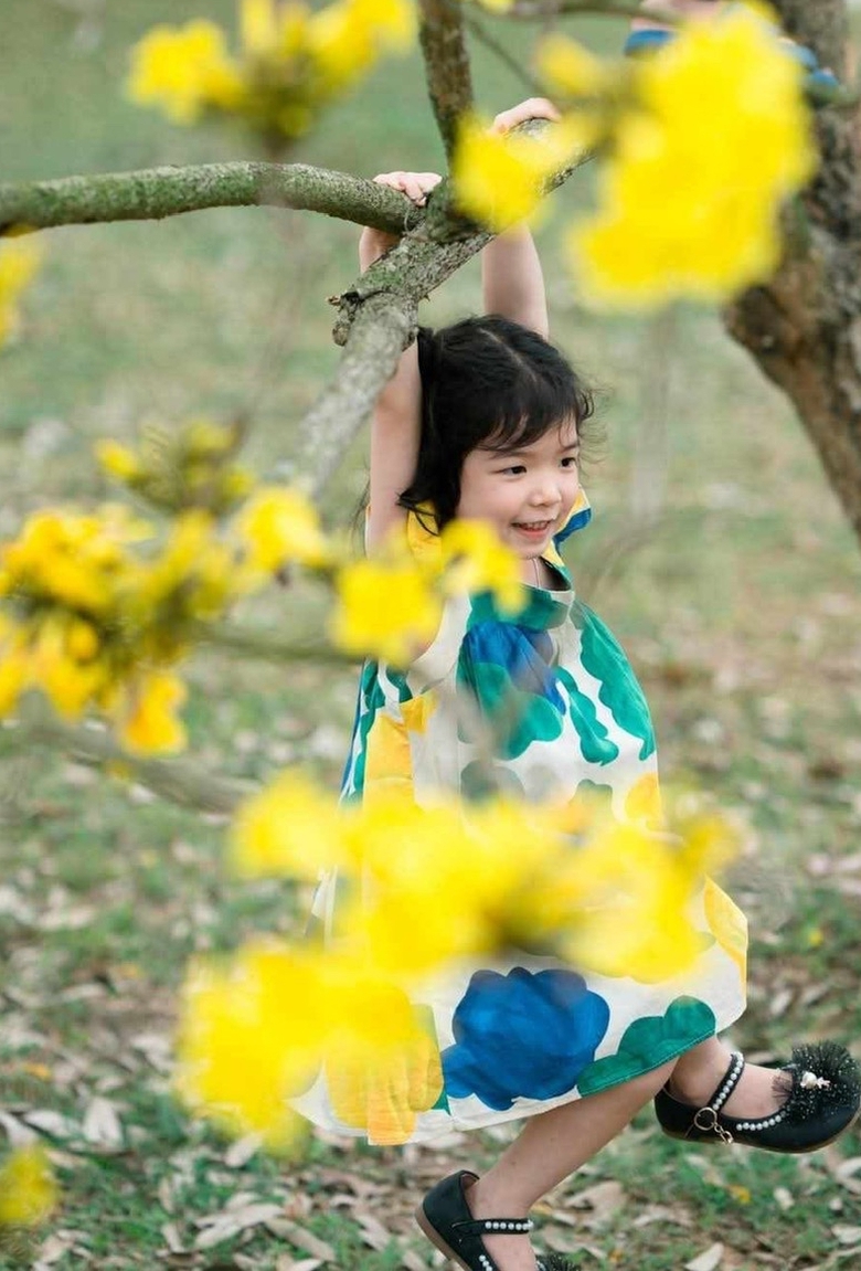 Ph&uacute; Thọ: M&ecirc; mẩn sắc v&agrave;ng rực rỡ của hoa Phong Linh- Ảnh 5.